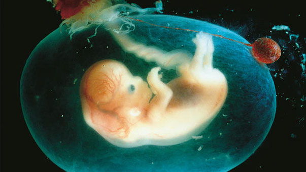 WhatsApp Image 2020-06-06 at 18.48.33